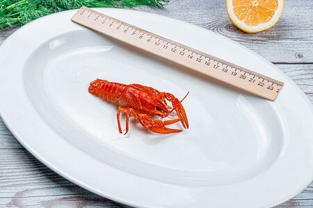 Раки севанские №1