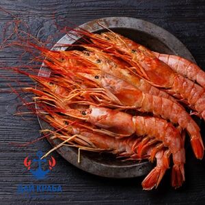 Лангустины L1