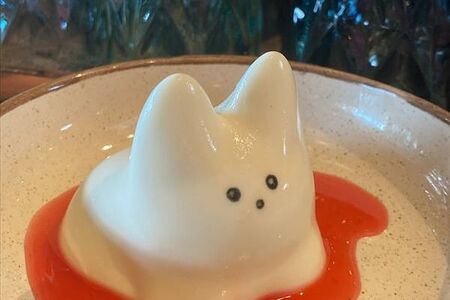 Панна-котик