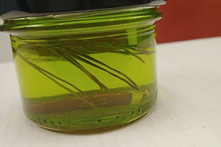 Варенье из мяты с хвоей