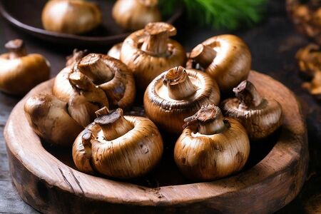 Грибы на мангале