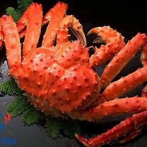 Краб Камчатский подарочный