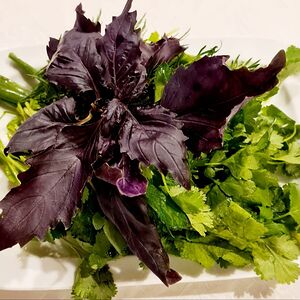 Зелень ассорти