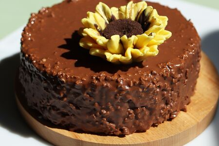 Солнышко мое