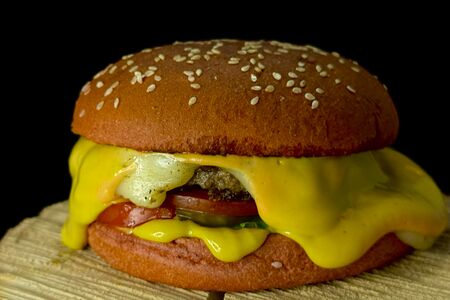 The Mozzarella Burger хит