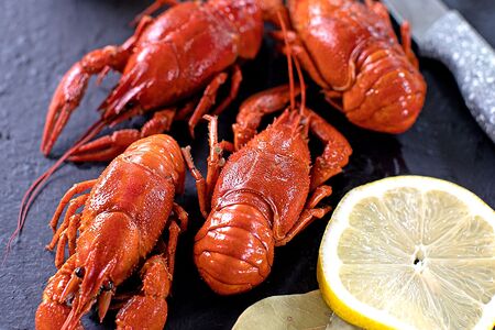 Рак средне-крупный вареный