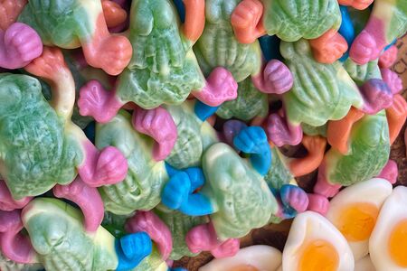 Тропическая лягушка