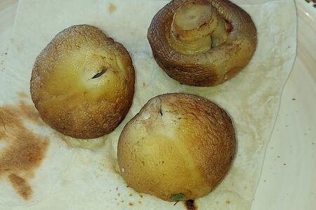 Шампиньоны на мангале