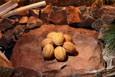 Орешки со сгущенкой (6 шт.)