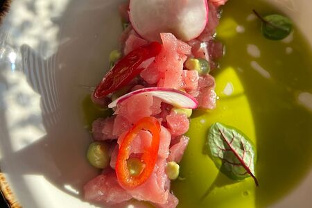 Севиче из тунца с кремом из авокадо