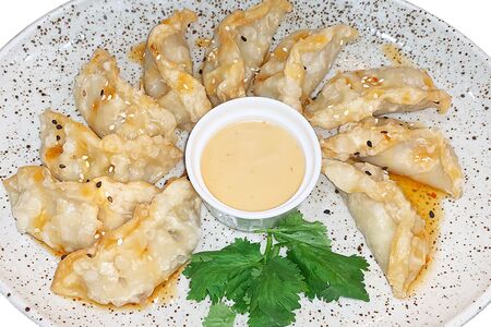 Гёдза с курицей