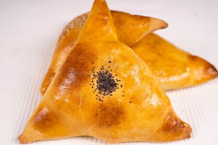 Самса классическая