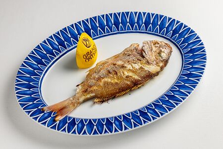 Пагр на гриле 700