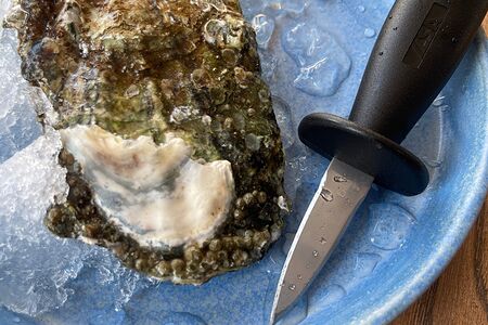 Нож для устриц