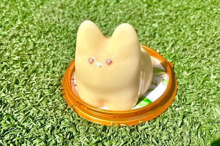 Танцующий котик с манго