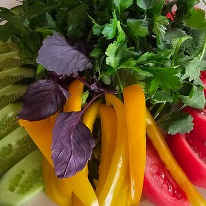 Овощи зелень