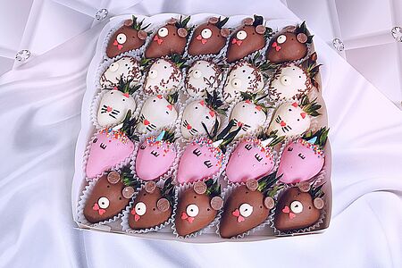 Набор Мечты 2