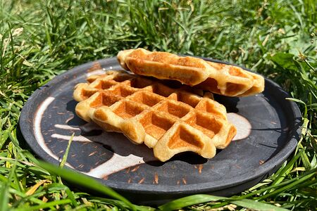 Венская вафля