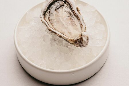 Устрица крымская