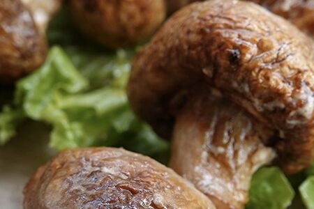 Шампиньоны на углях