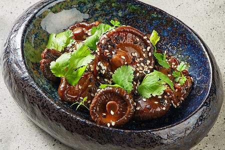 Древесные грибы