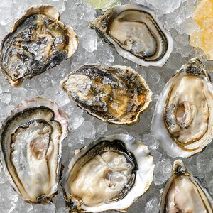 Сет Морской бриз