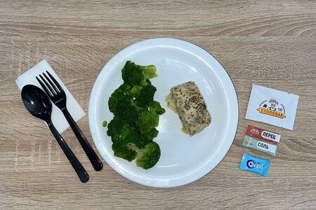  Среда-Рыбный контейнер №2