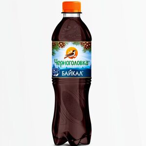 Черноголовка Байкал