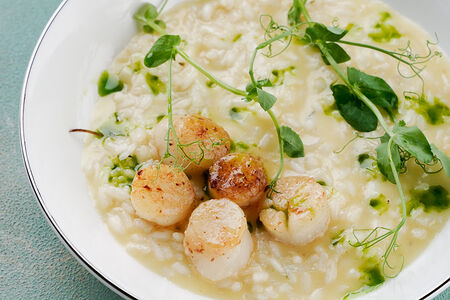 Ризотто с гребешком