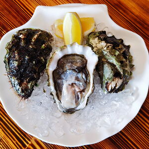 Устрица Хасанская первой категории