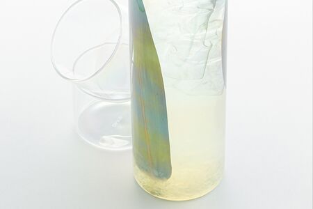 Домашний лимонад Longan Chia