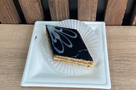 Птичьи крылья