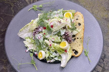 Салат из десяти видов зелени