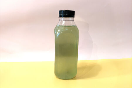 Лимонад домашний Мохито