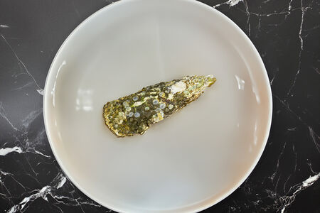 Устрица Хасанская