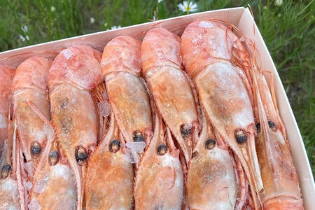 Креветки Ботан крупные