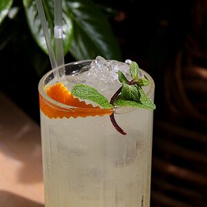 Лимонад Цитрусовый