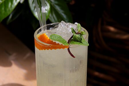 Лимонад Цитрусовый