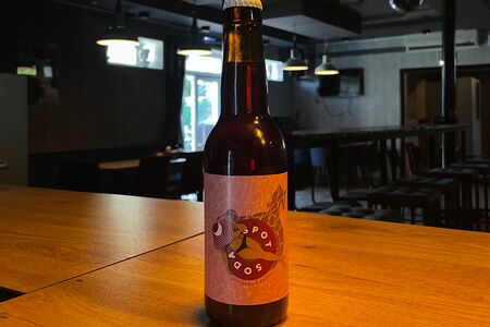 Содовая Spot soda Брусника и кизил