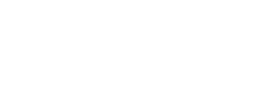 Эльсити