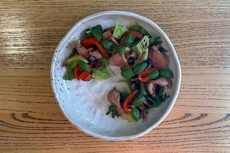 Салат с печеной уткой, картофелем из печи, печеным болгарским перцем, грибами и бальзамическим соусом