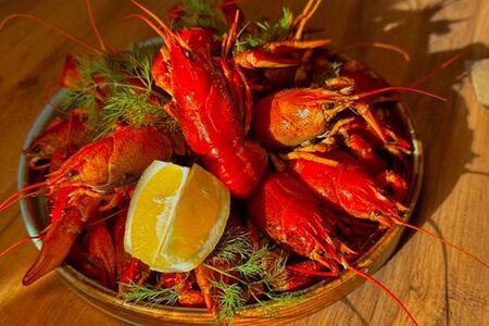 Раки 7 категории