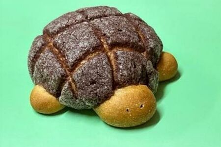 Мелон пан Шоколад