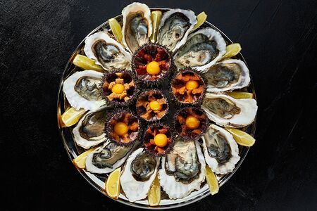 Сет Ёж и Устрица