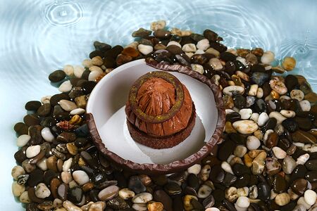 Трюфель шоколадный