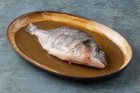 Дорада отварная