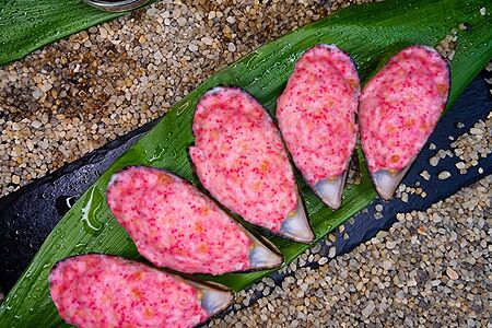 Мидии Икура