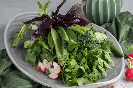 Свежая зелень