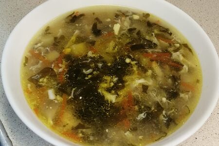 Борщ зелёный