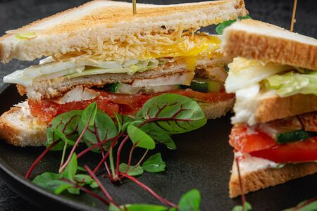 Сэндвич Rehab